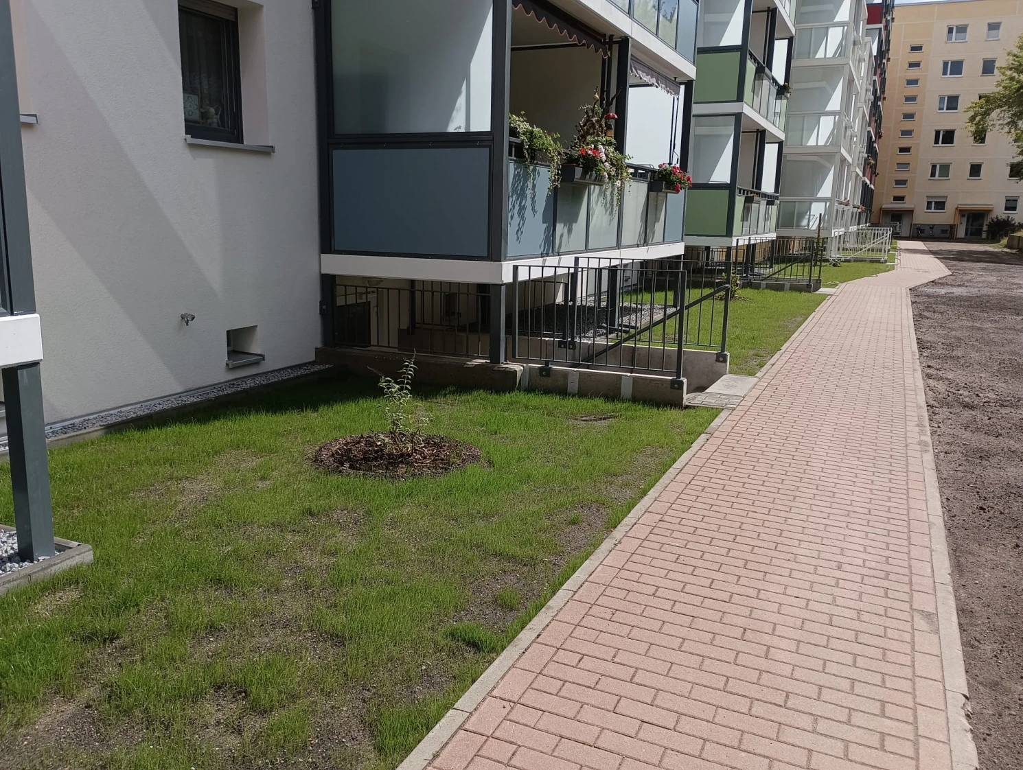 Gras